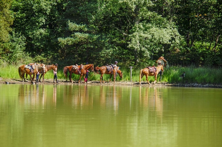 Tashunka Town - ferme équestre