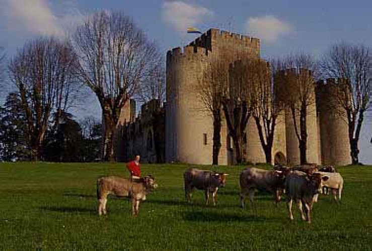 Musée de la Bazadaise