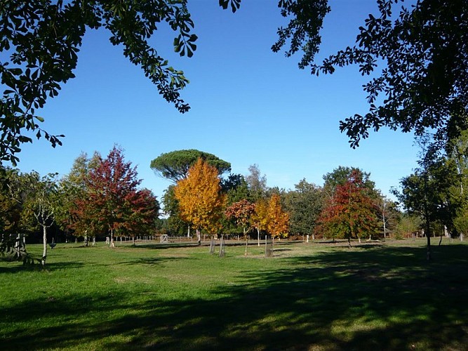 Parc Botanique Préchac 3 (Copier)