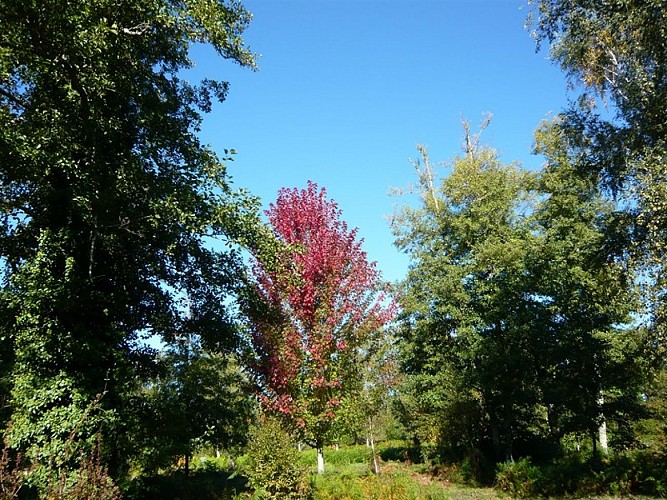 Parc Botanique Préchac 2 (Copier)