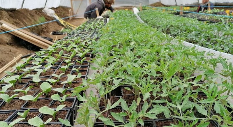 Scea de l'Esperluette