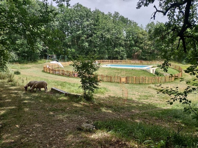 IMG_20230718_145302801_HDR-1024x768