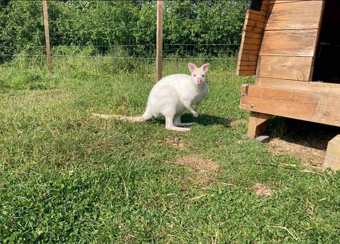 Domaine Le Trou du Charme - Le Dôme