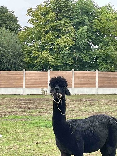 Domaine Le Trou du Charme - Le Dôme