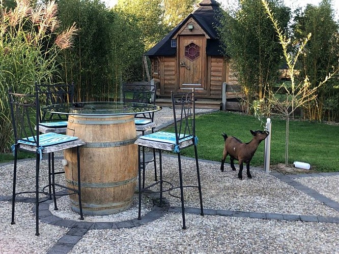 Domaine Le Trou du Charme - Kotas