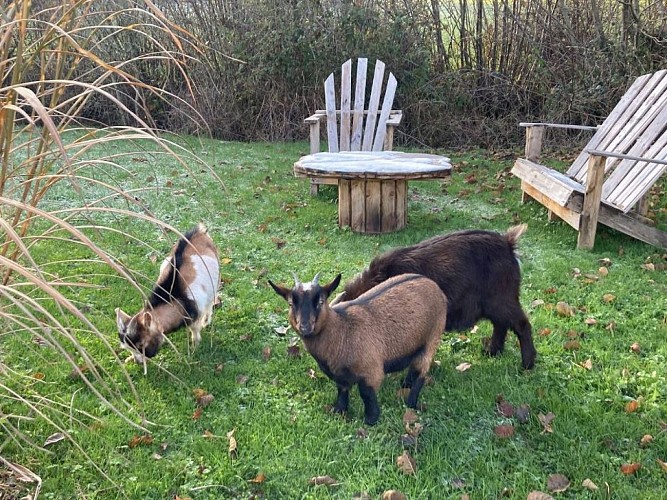 Domaine Le Trou du Charme - Kotas