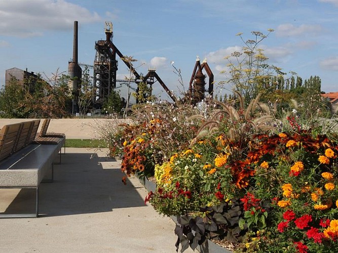 JARDIN DES TRACES