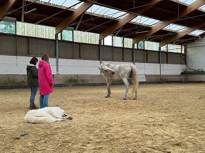 458284624_10161842838124656_2832431048887272565_n