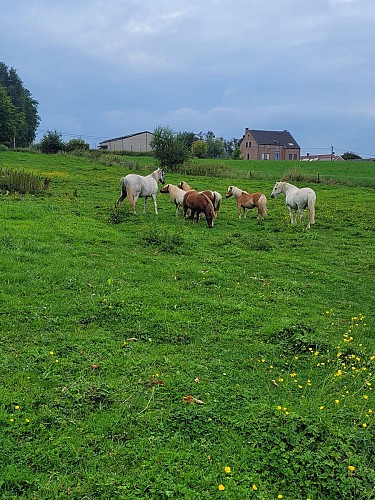 453649638_10233222360683800_8511557638303515619_n