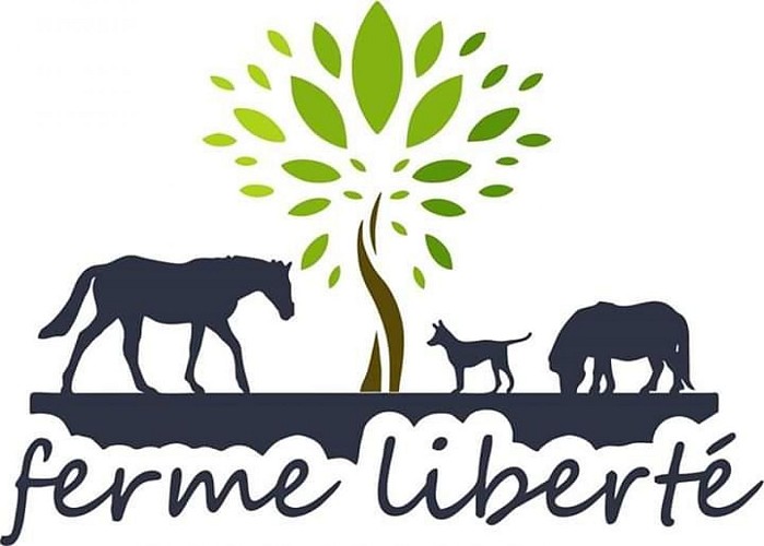 Fb-img-1578558137617