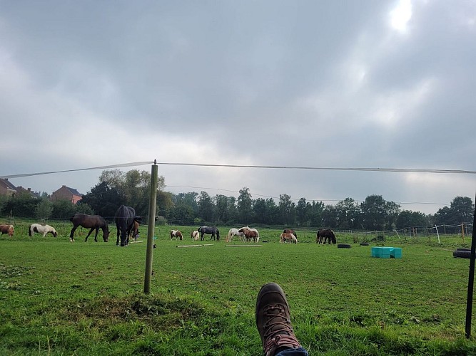 458488510_10233613224695156_2280155114254192051_n