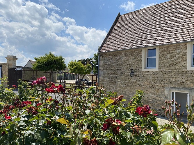 hotel-restaurant-auberge-de-la-luzerne-bernieres-sur-mer-credit-pierre-lequesne-mathilde-lelandais (106)