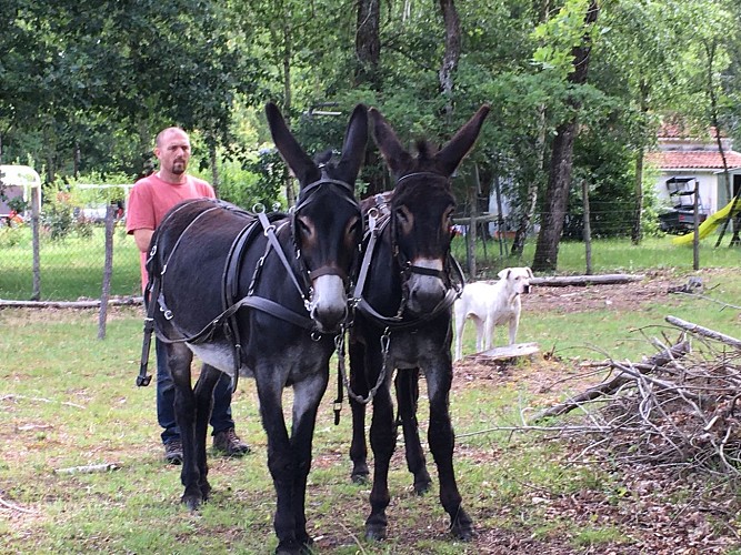 La_ferme_des_Moquets_Donnezac©Stéphanie Peyrat (4)