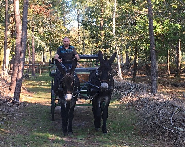 La_ferme_des_Moquets_Donnezac