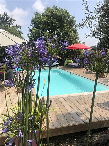 piscine ©l'air du temps