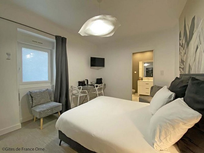 City Break du Jeudi - Jungle - 2