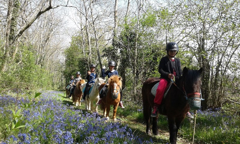 Equi-Ouest Découverte