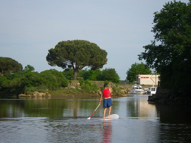 redi paddle - ecoplaisance (8)
