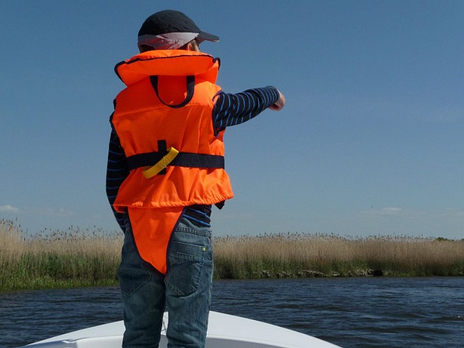 bateau électrique - écoplaisance du delta