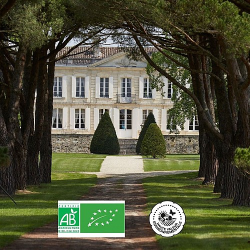 101927752_3259239390762494_4255426114433107030_o