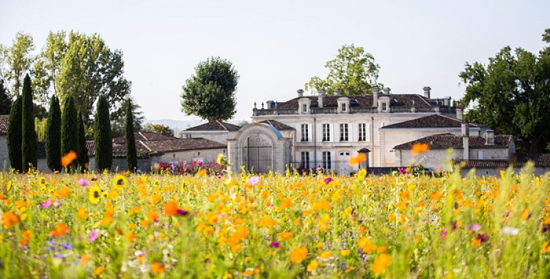 Château de la Dauphine vue du champs