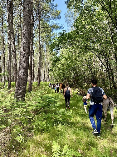 IMG_5472 - Refuge d'Epona