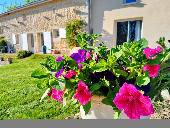 8feec60e-fd9b-4fcb-8231-72eddbce9474-1_all_24889