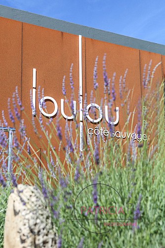 Loulou Côte Sauvage