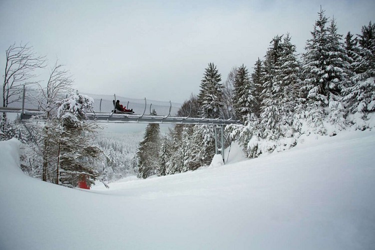 Rail sled - Tricky Track