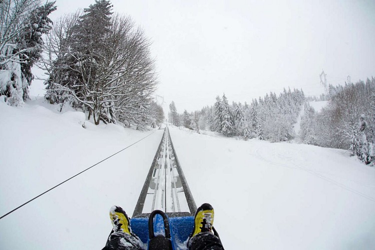 Rail sled - Tricky Track