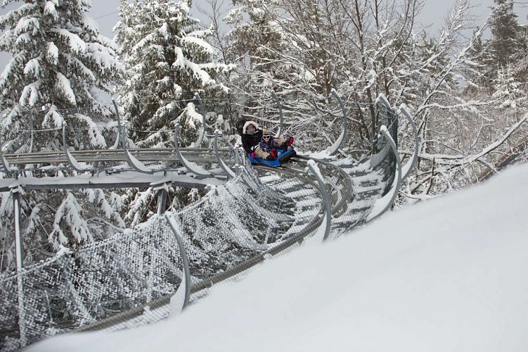 Rail sled - Tricky Track