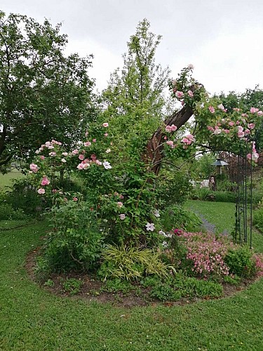 Der Garten von Nicole