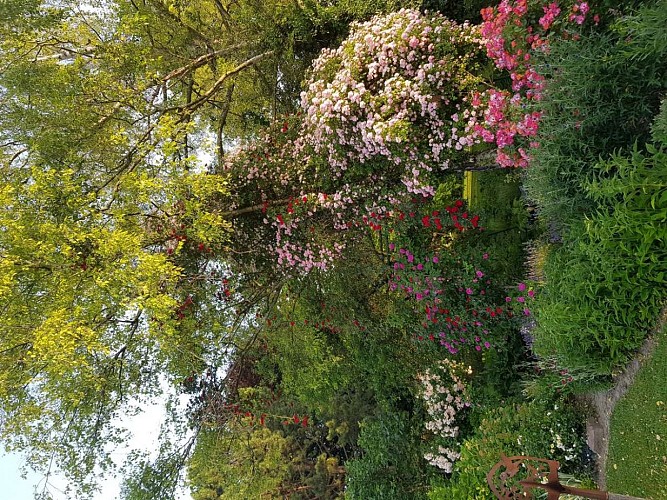 Le jardin de Nicole