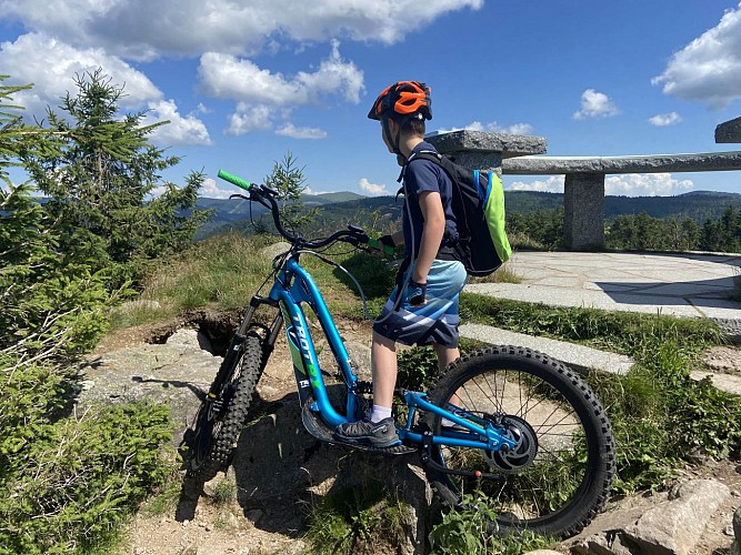 Trot'top - rental of electric scooters