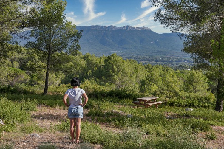 Mont Aurélien, côté Pourrières