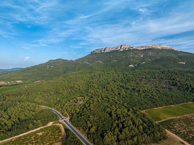 Mont Aurélien, côté Pourrières