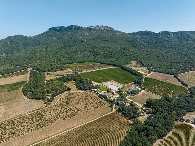 Mont Aurélien, côté Pourrières