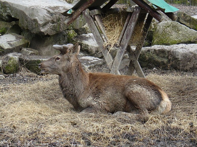 Parc animalier de la Bannie