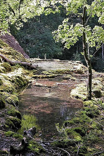 Tufière de Rolampont