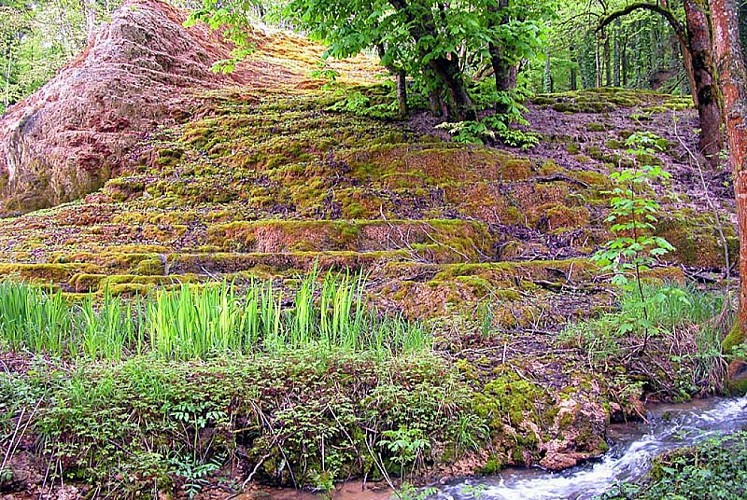 Tufière de Rolampont