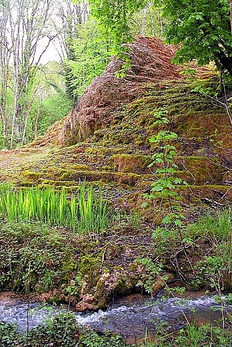 Tufière de Rolampont