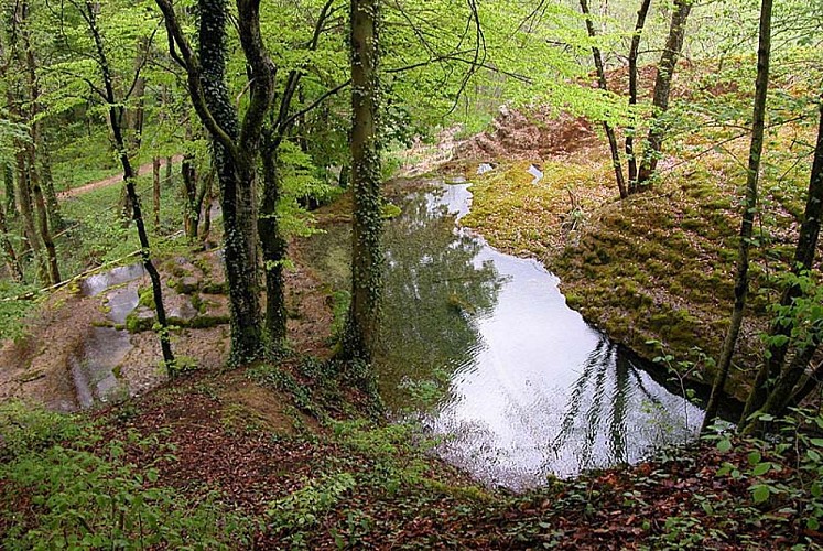 Tufière de Rolampont