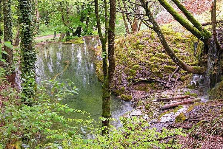 Tufière de Rolampont