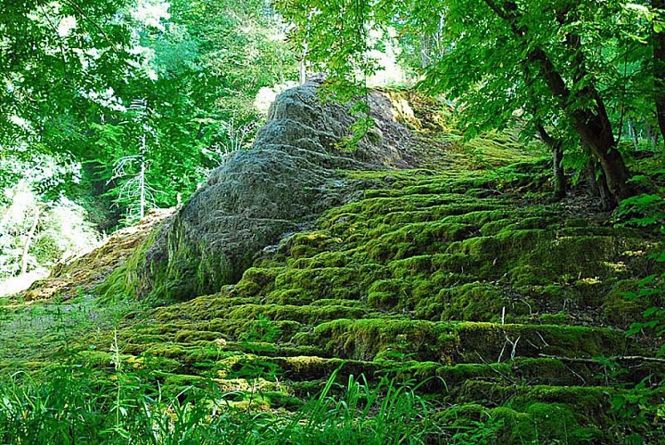 Tufière de Rolampont