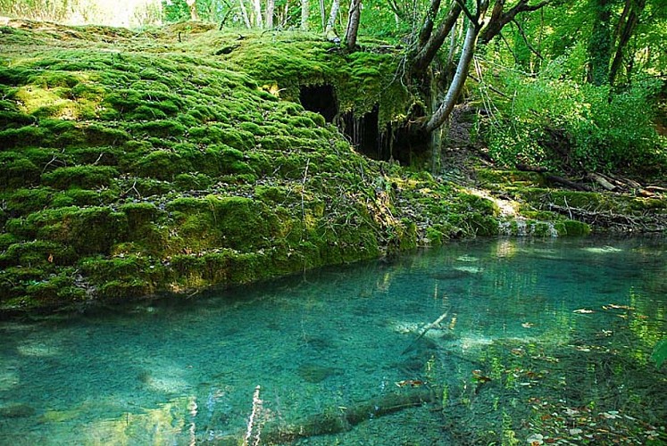 Tufière de Rolampont