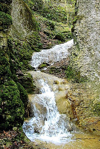 Gorges de la Vingeanne