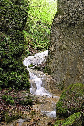 Gorges de la Vingeanne