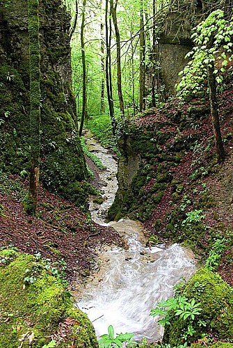 Gorges de la Vingeanne