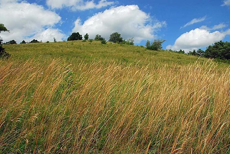 Butte de Taloison