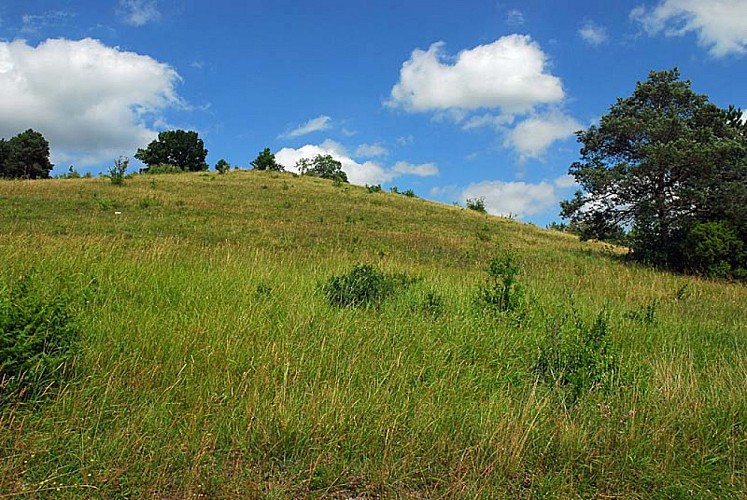 Butte de Taloison